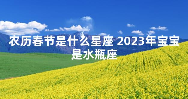 农历春节是什么星座 2023年宝宝是水瓶座